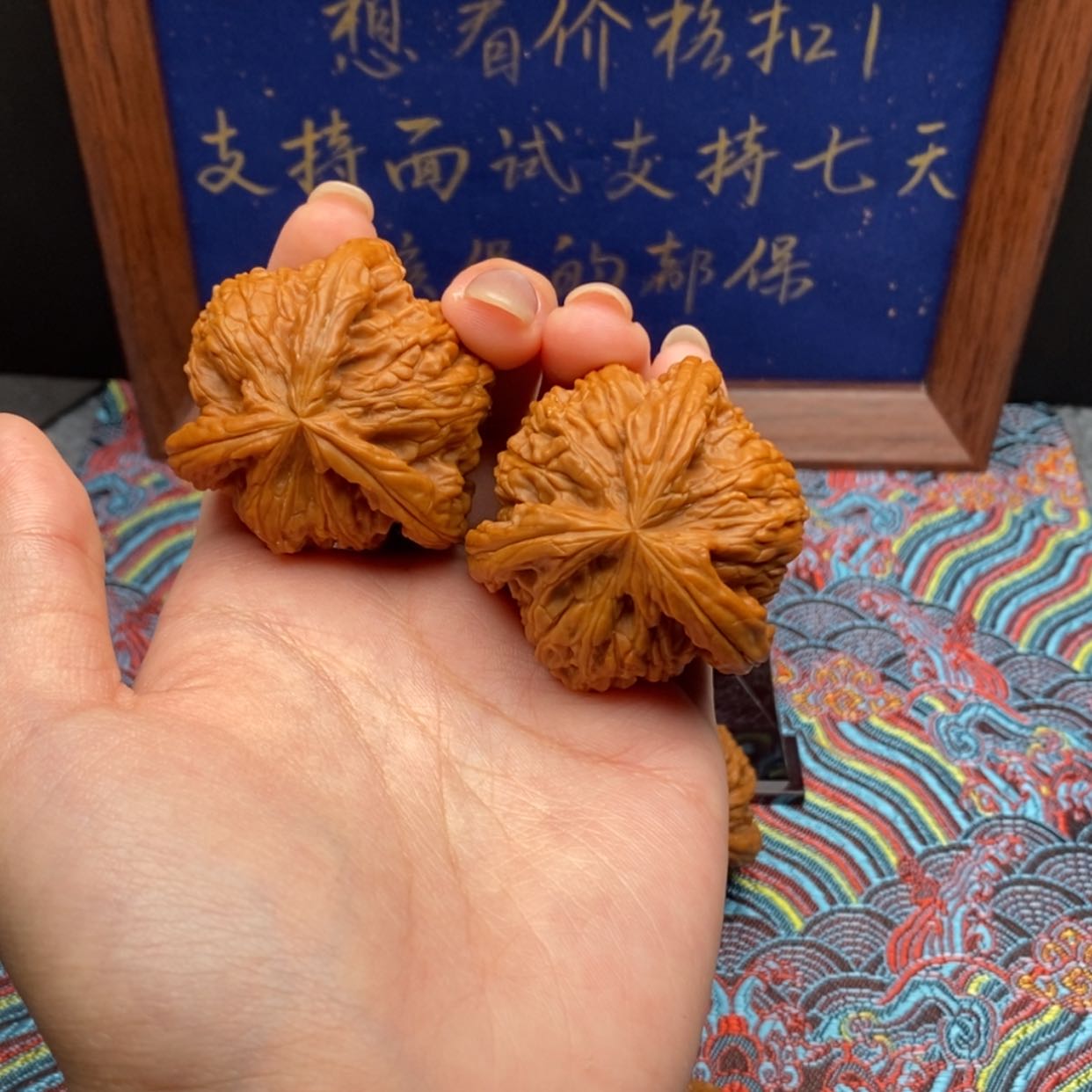 【闪购商品】亦*白狮