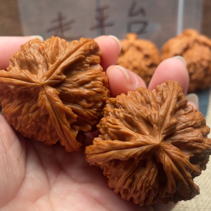 “***”核桃白狮子43核桃