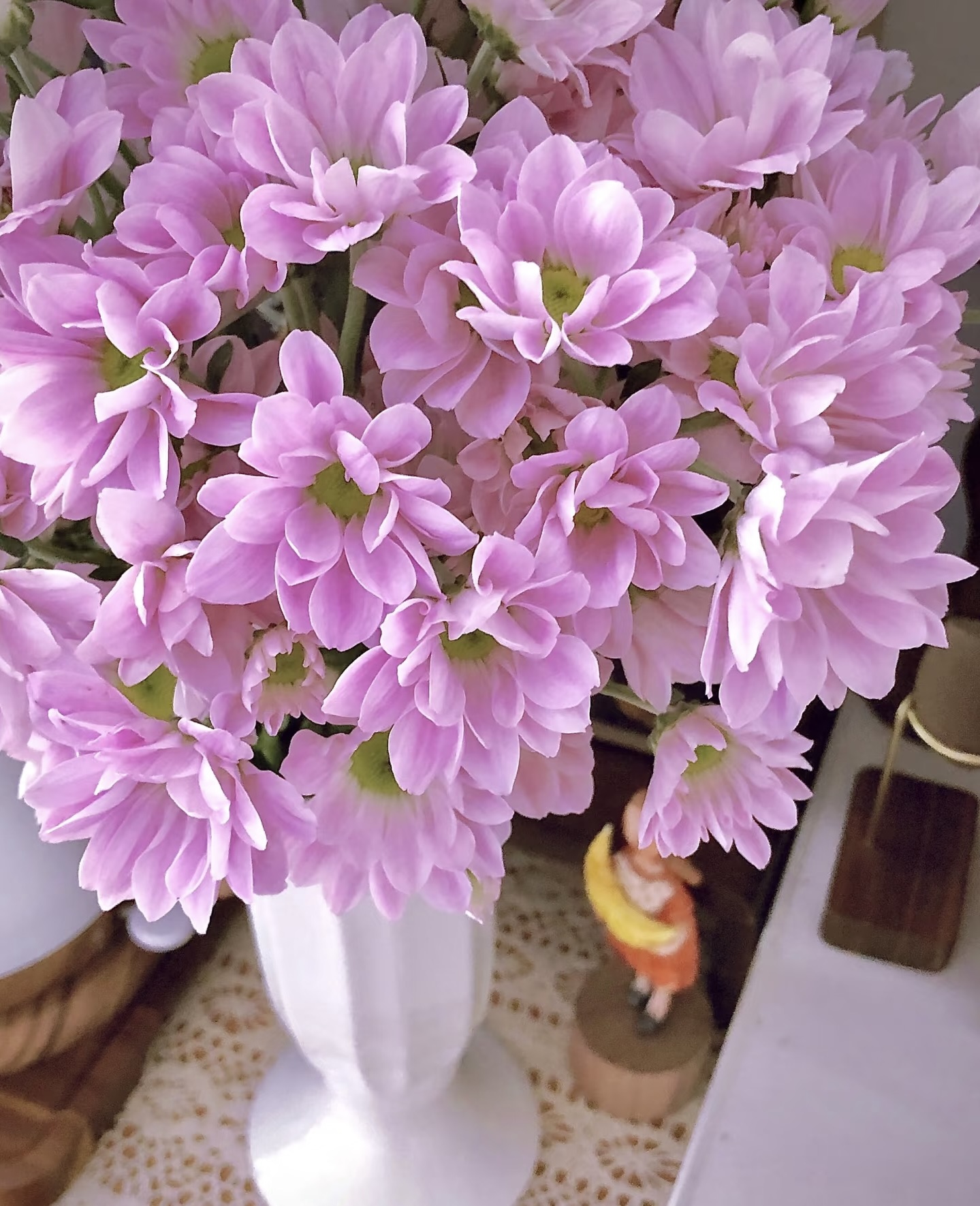 粉色三文鱼小雏菊