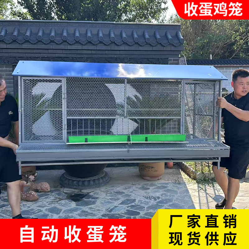尖顶自动收蛋笼室外防雨款鸡笼养殖笼防蛇防鼠大号笼加厚探头吃食