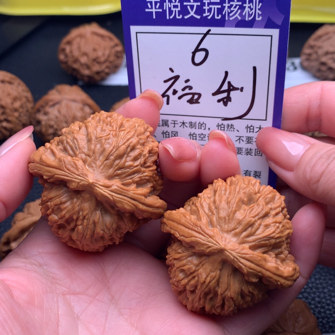 核桃白狮6链接45尺