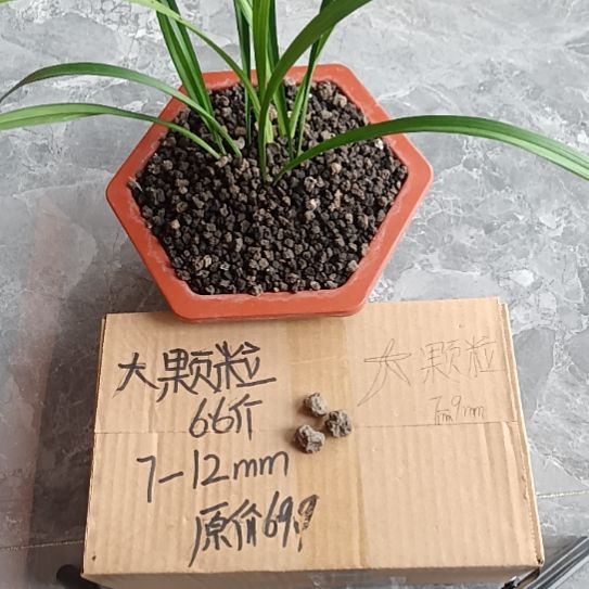 清***霜兰菌黑山土大颗粒6.6斤
