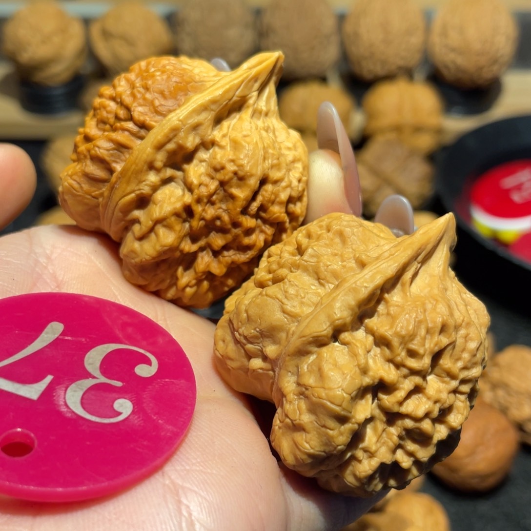 玲珑玉蝉核桃带彩40