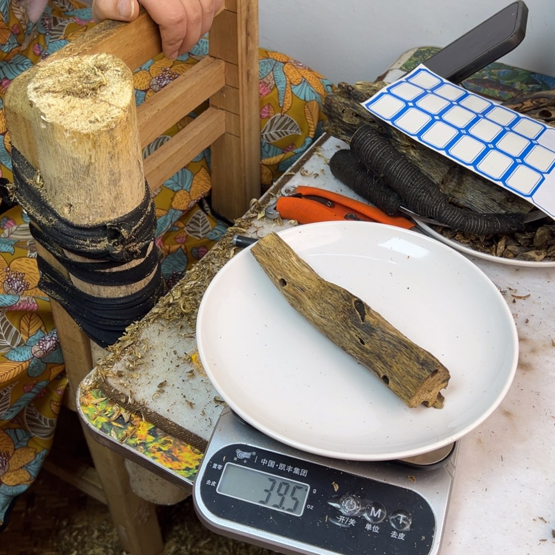 线香奇楠虫漏香39克