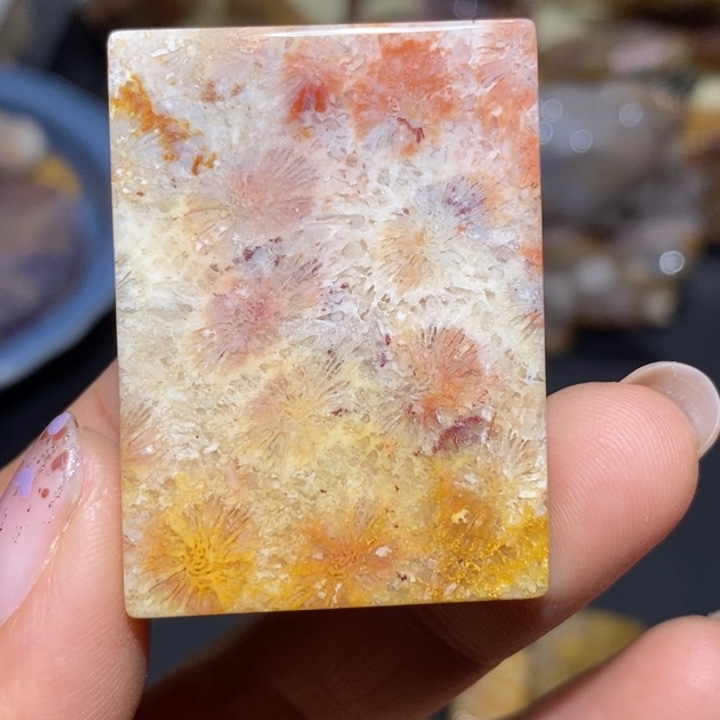 【闪购商品】未镶嵌珊瑚玉硅化玉