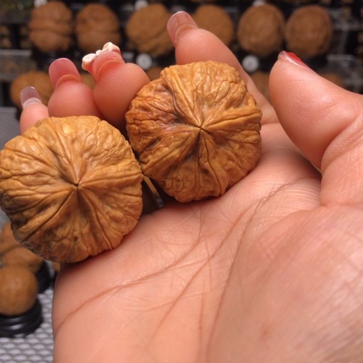 橄榄核把件24玉宝四楞