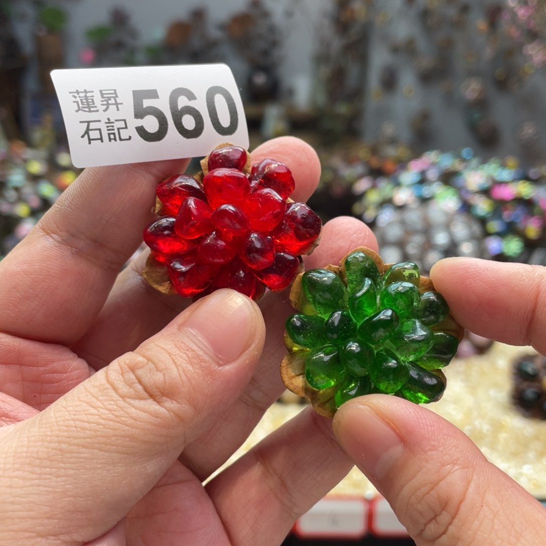 核桃木/黑胡桃（胡桃木）我***个560