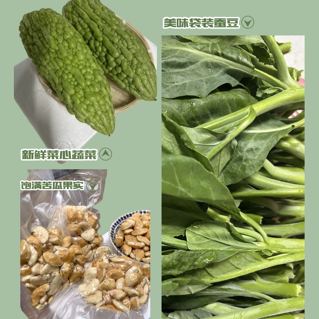 5拼菜潮汕露天种植农家蔬菜搭配套餐