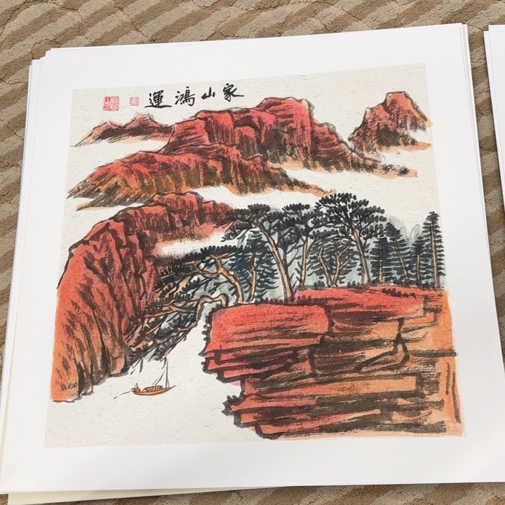 国画花鸟的翅膀和羽毛50.50