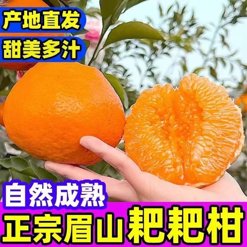 【正宗】四川春见耙耙柑应季新鲜水果柑橘粑粑丑八怪橘子