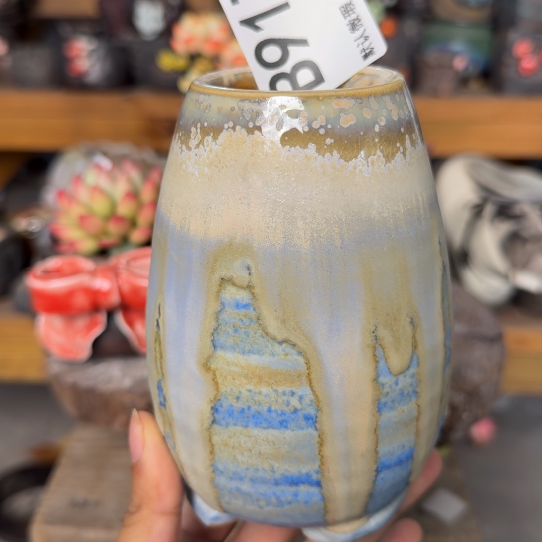 重庆小燕子欢迎大家917