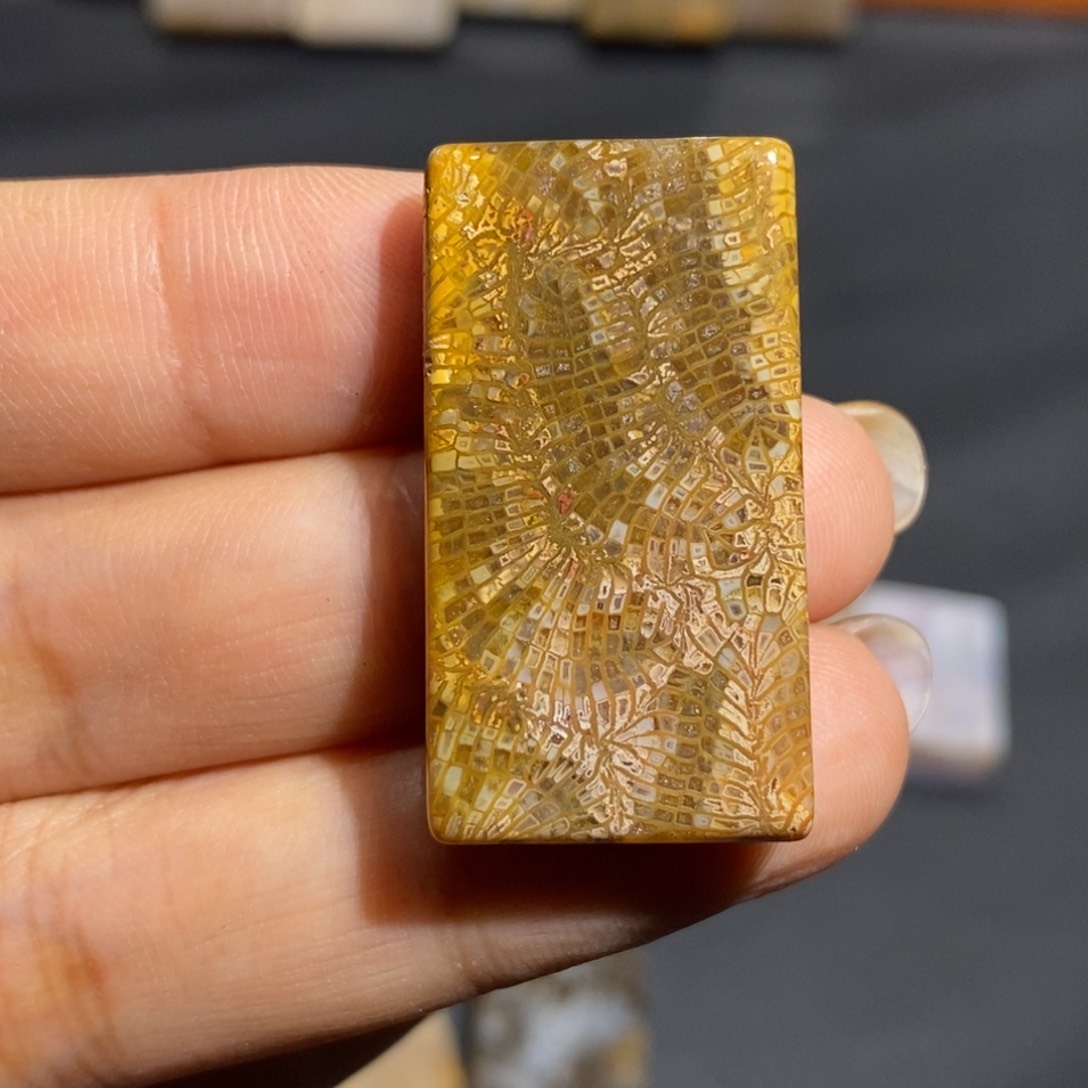 【闪购商品】未镶嵌珊瑚玉硅化玉