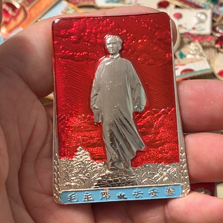 W***^其他普通金属普通纪念章一枚