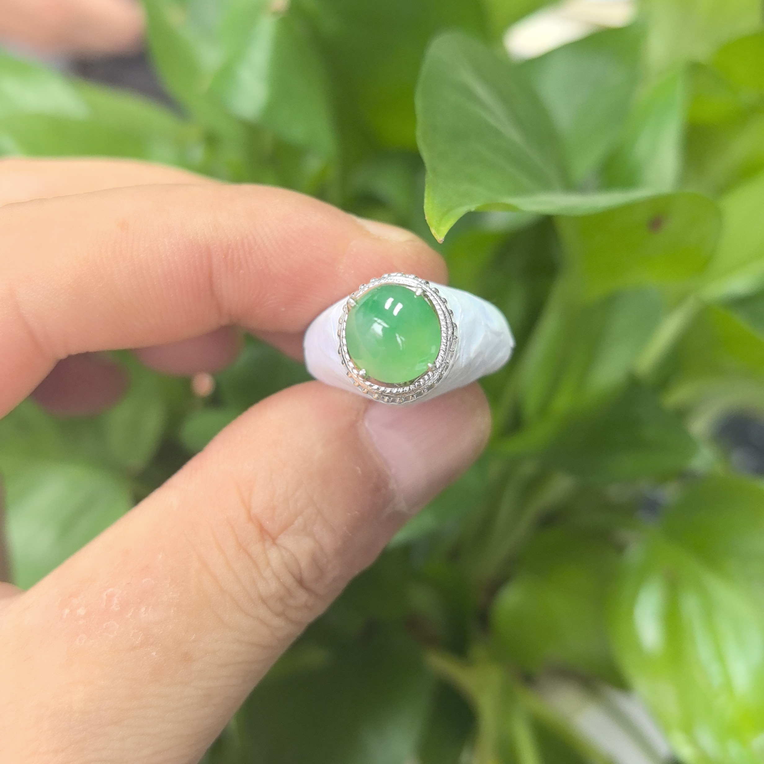 天然缅甸翡翠a货蛋面96