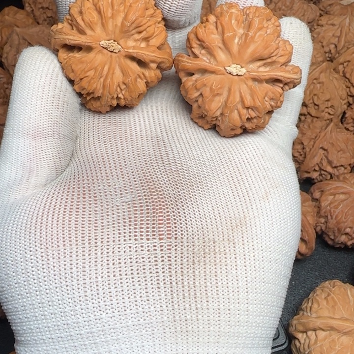 玲***J文玩核桃吊坠粗筋