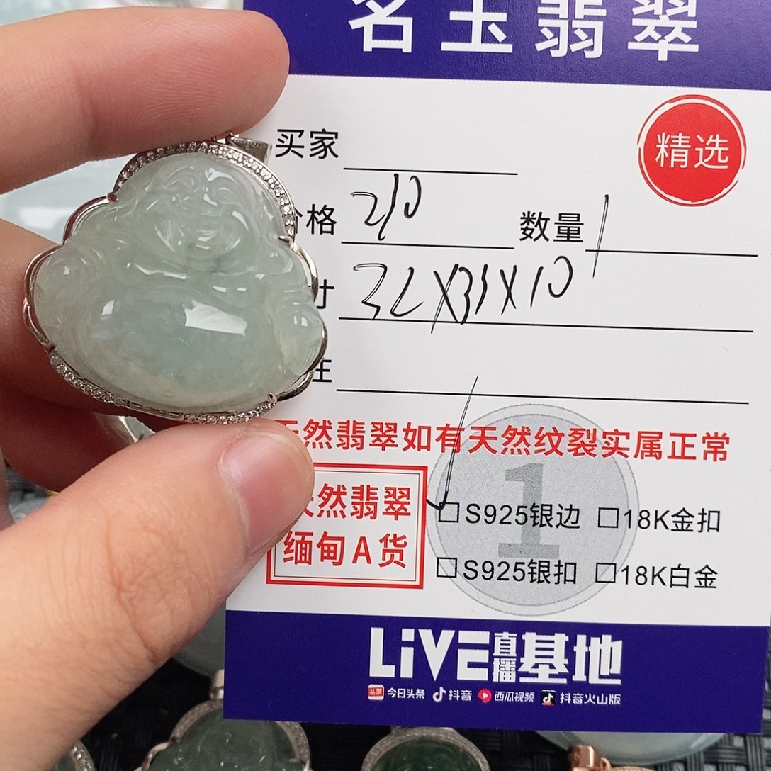 翡翠银S925镶嵌颈饰