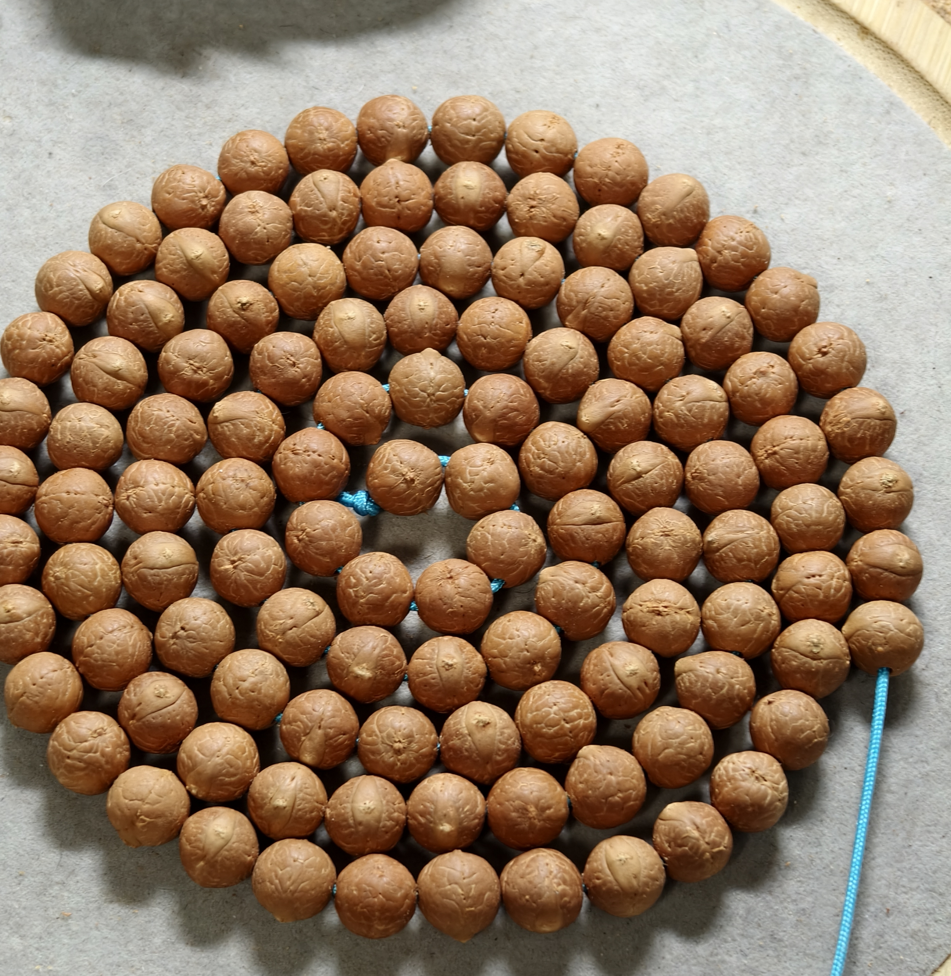 10mm凤眼菩提108随机发货（联系直播间一物一图发货）