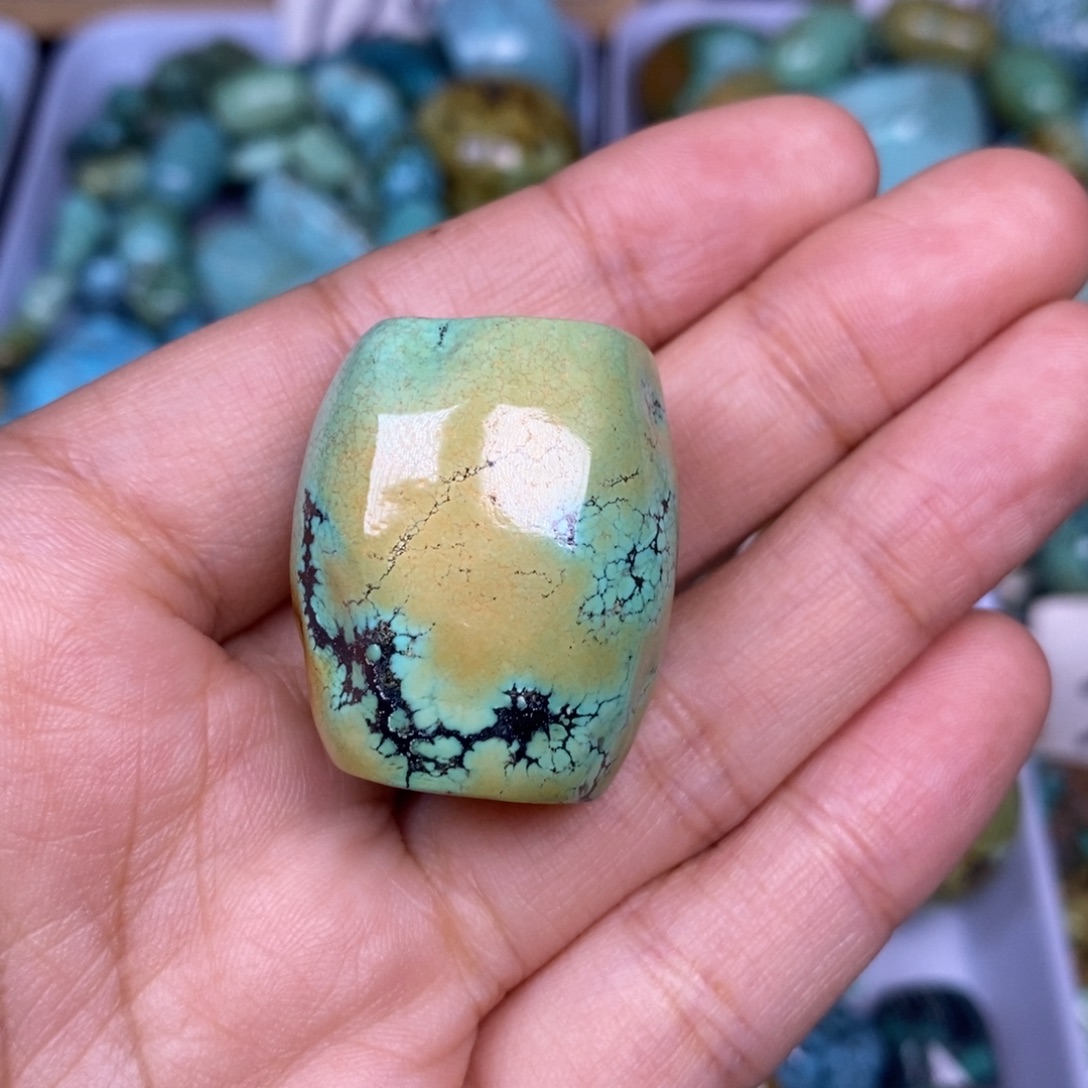 绿松石未镶嵌颈饰