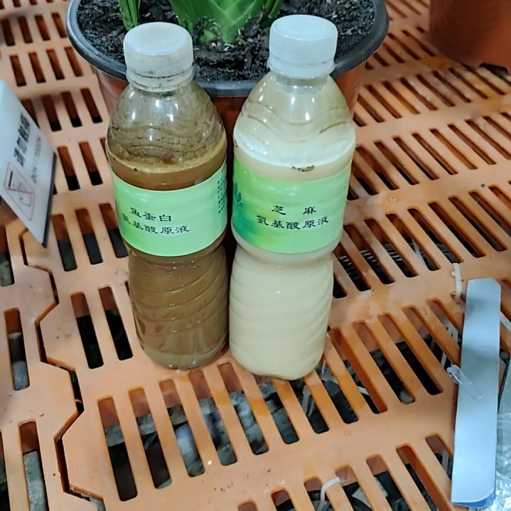 田***林鱼蛋白芝麻氨基酸原液