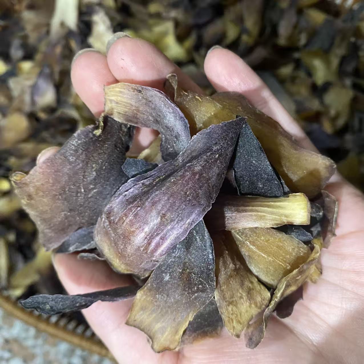 紫百合 半斤装 紫金百合 