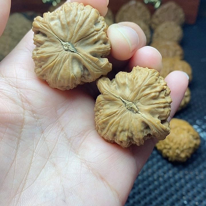 文玩核桃把件39白狮子