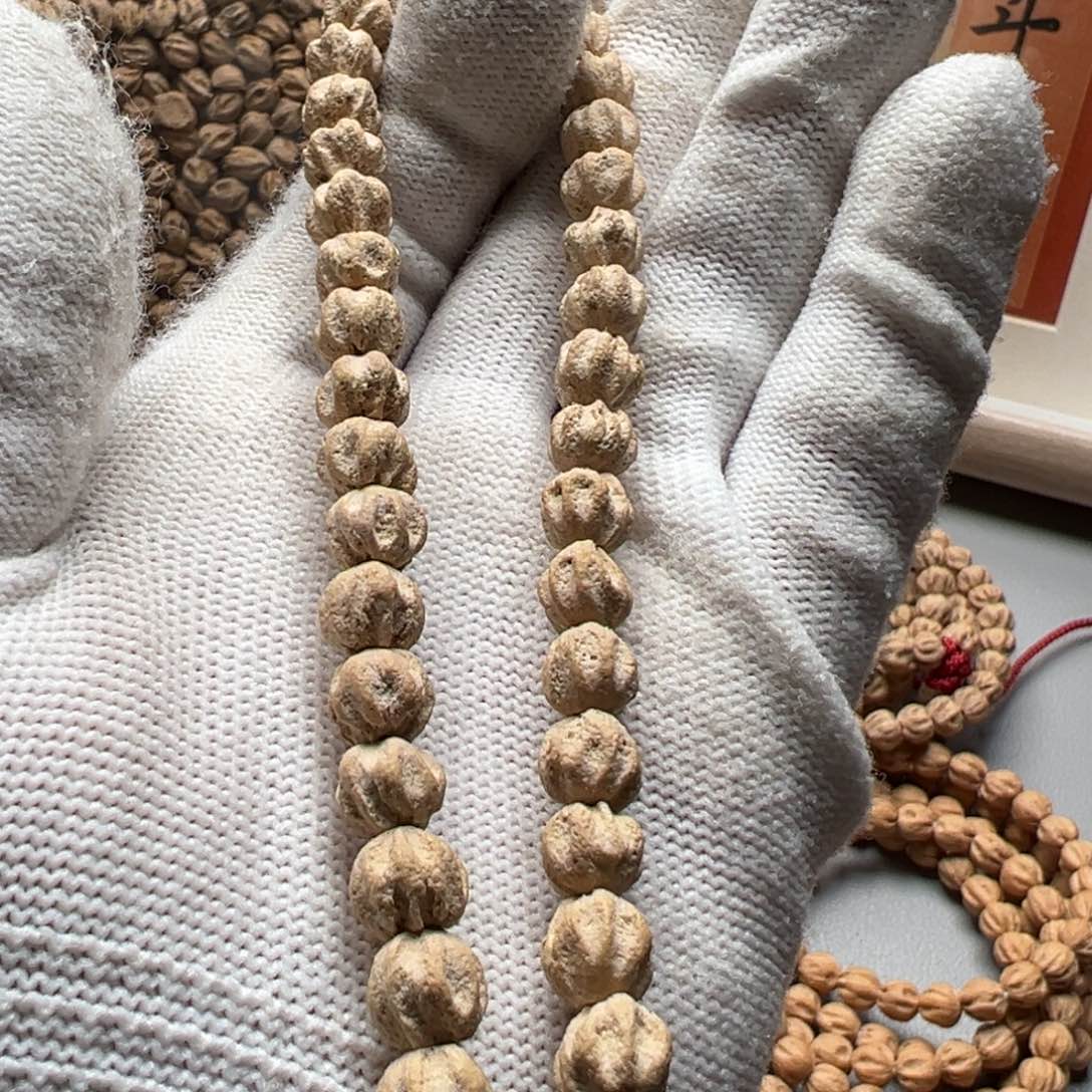 柏香籽/百香籽吊坠琴**画