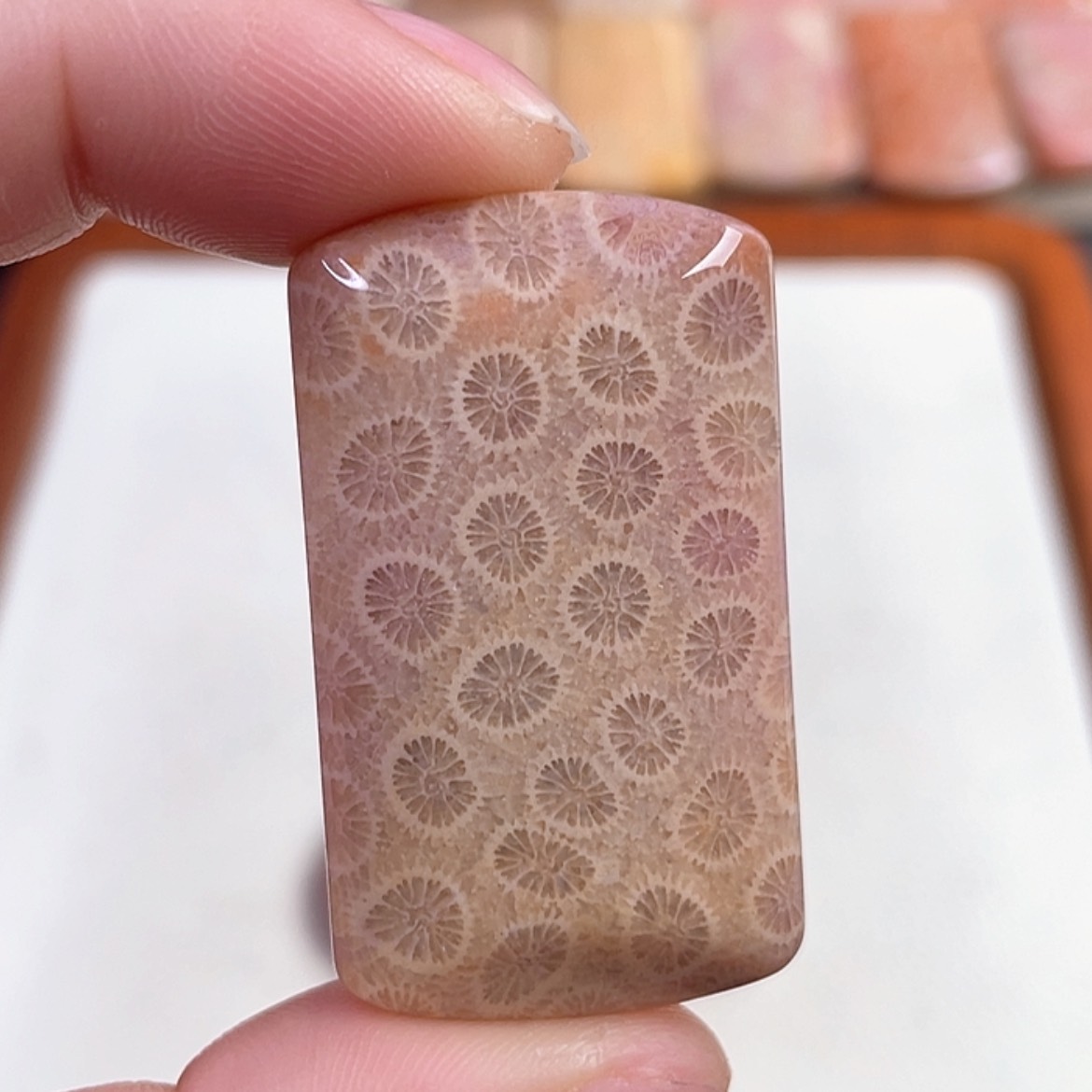 【闪购商品】硅化玉手链未镶嵌