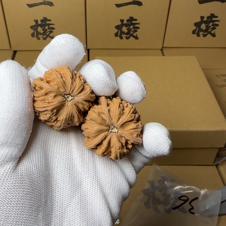 文玩核桃吊坠厚*声简单包装玉龙三棱