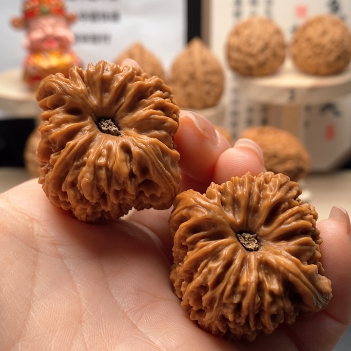 12号蚂蚁拉丝酒杯底全品
