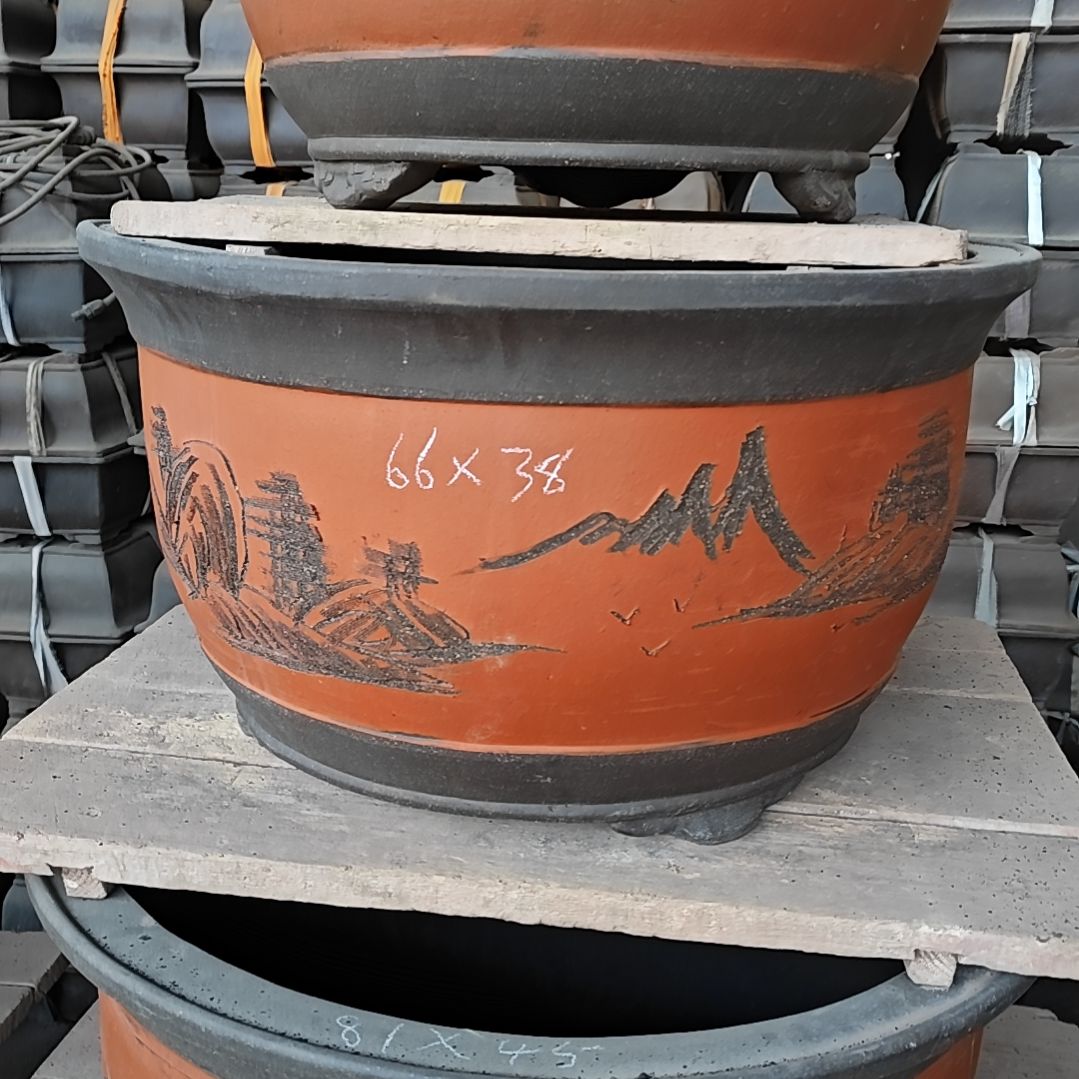 D***牛66Ⅹ38金玉满堂2只红