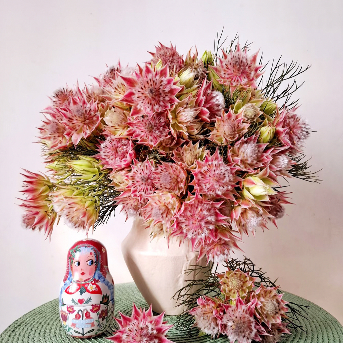 新娘花一把➕营养剂