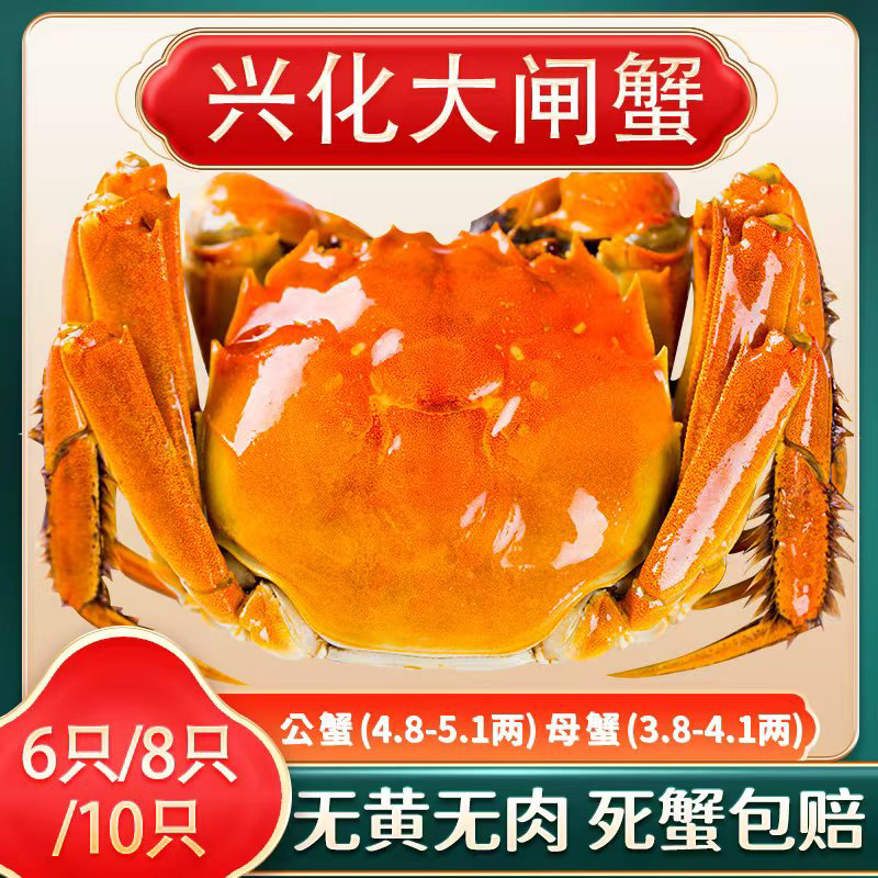 【活蟹】江苏兴化精品大闸蟹公4.8-5.1两母3.8-4.1两8只/10只螃蟹