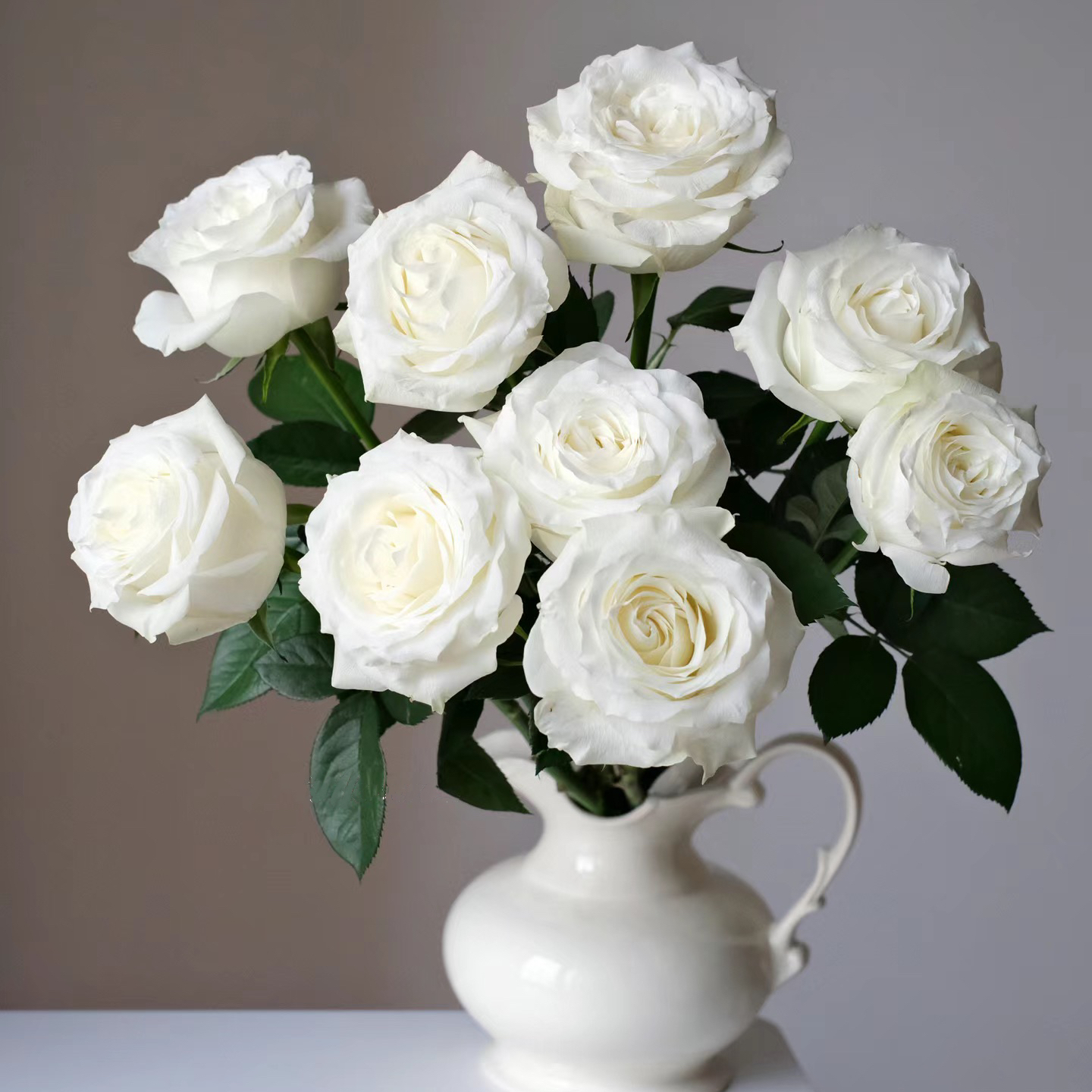 【藩篱匠人/骄傲】花瓣厚实 优雅大方 白玫瑰办公居家水养鲜切花