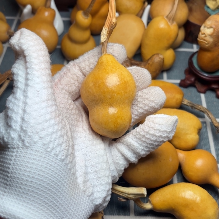 宗***1葫芦霉666666666666