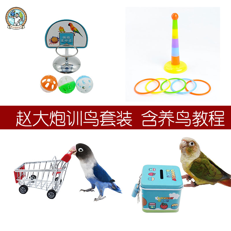 赵大炮养鸟训鸟套装套圈篮球小推车储物罐四合一送教程
