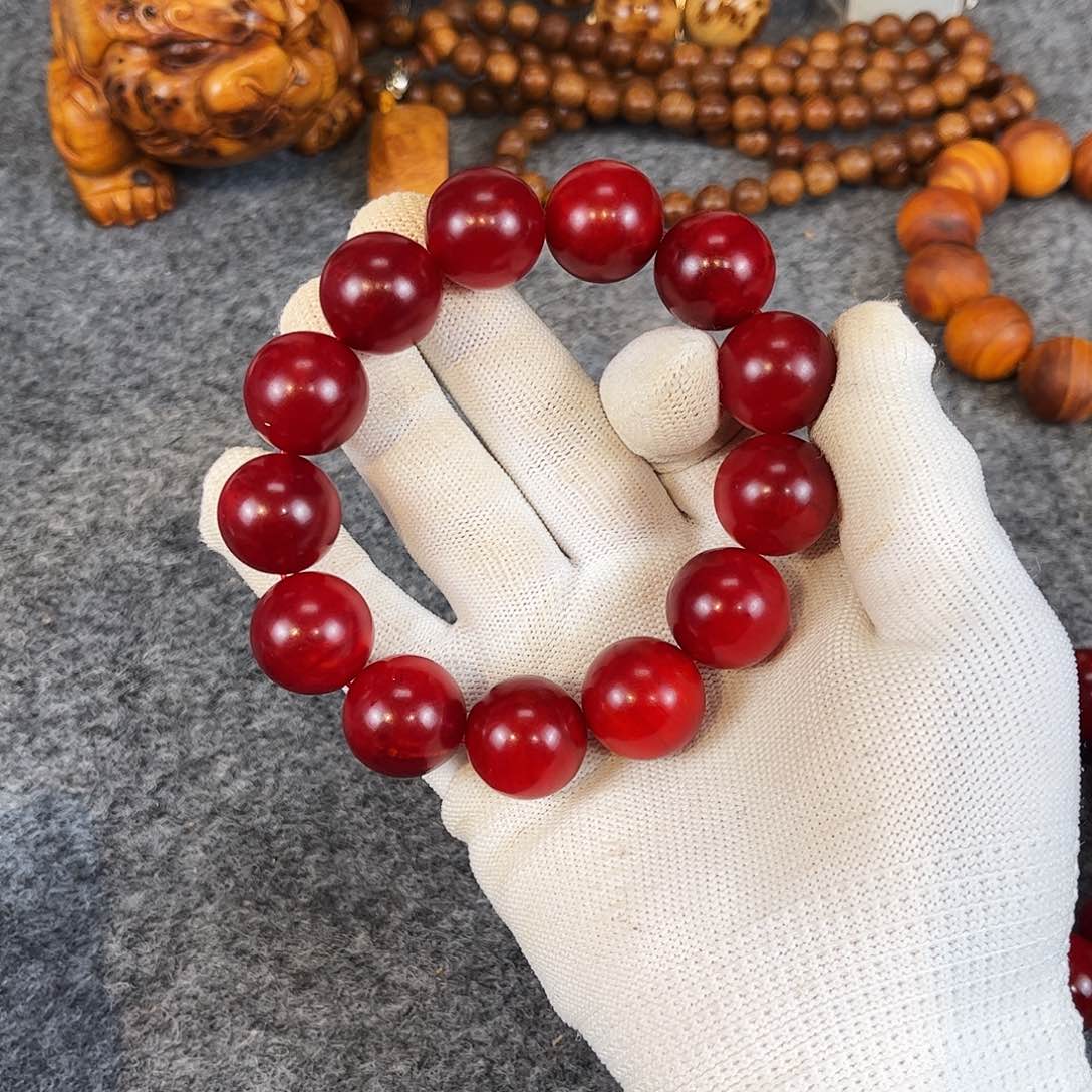 柏木（崖柏）太行崖松1.9