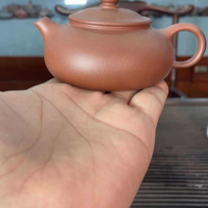 茶壶紫砂哈哈哈哈哈我真的好喜欢这个节目