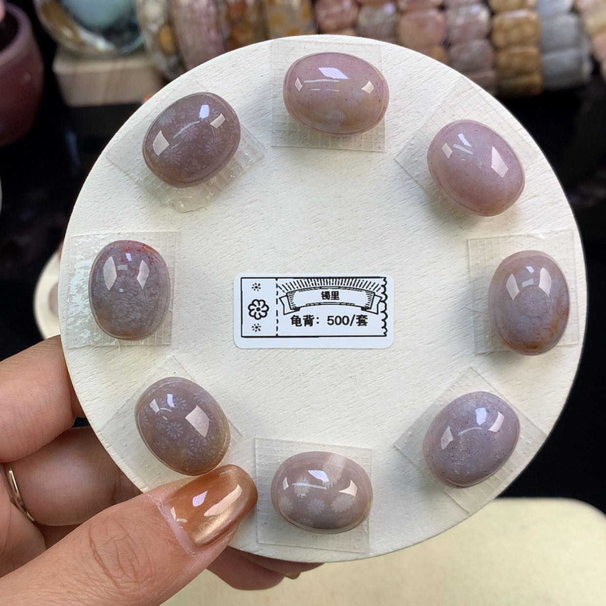【闪购商品】颈饰未镶嵌硅化珊瑚（珊瑚玉）福利套装龟背（20号）