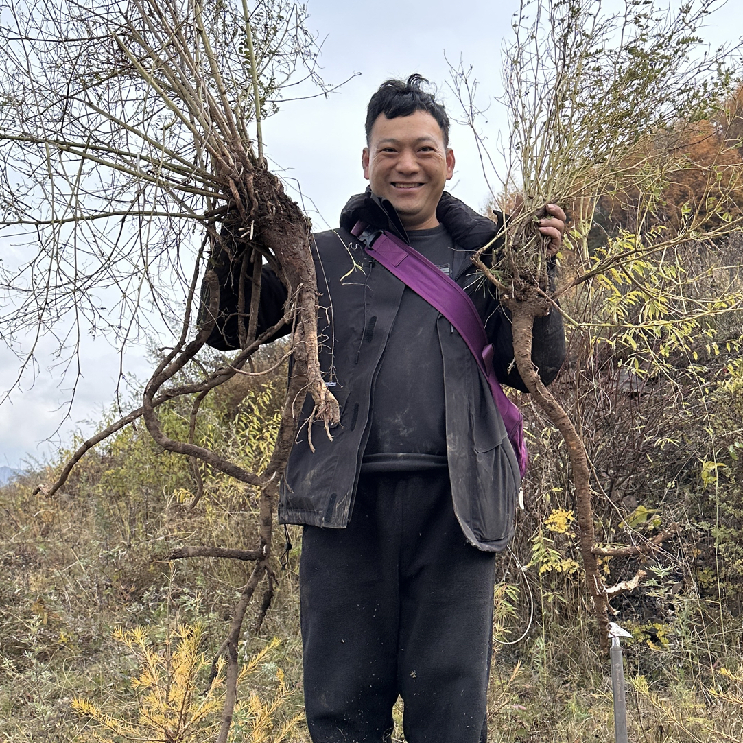 【玉永一物一拍】精选少量山货一物一拍专用链接以直播间实物为准