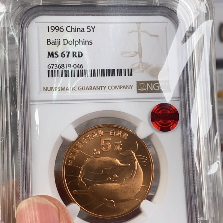 其他普通金属未*白鳍豚67铜