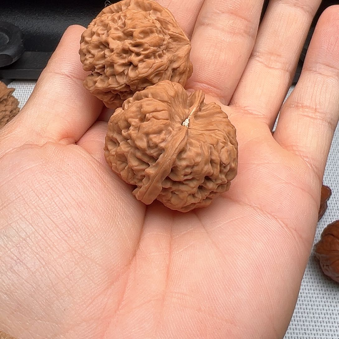 文玩核桃把件梁*哒钻天燕子