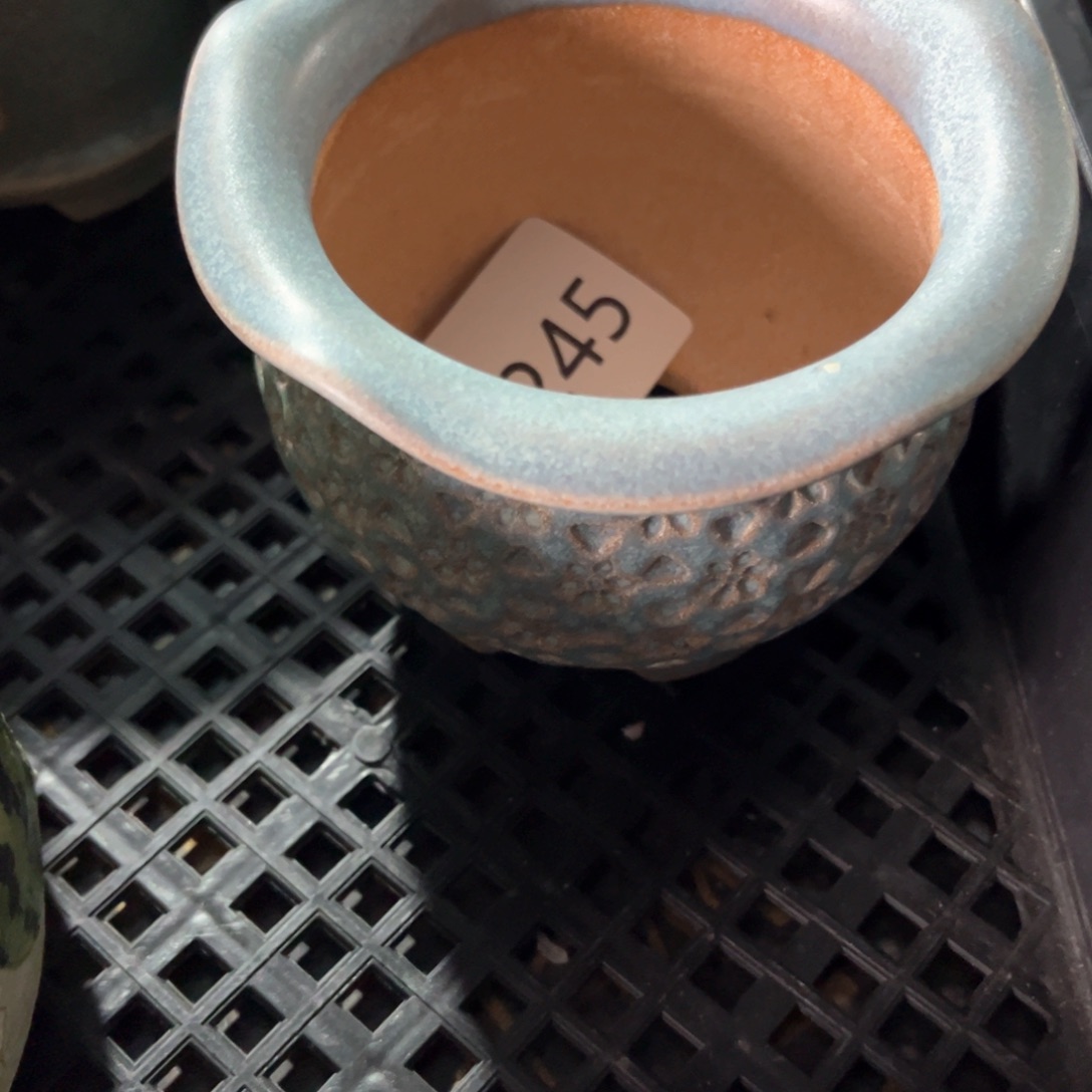 红陶V**.245花盆1个