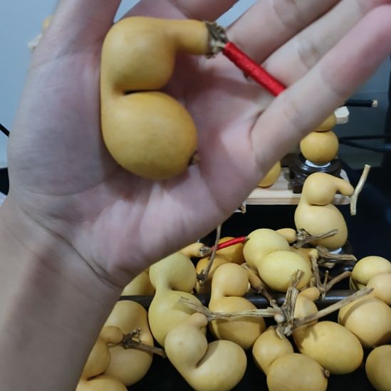 寒***影大叶紫檀（黑酸枝木类）