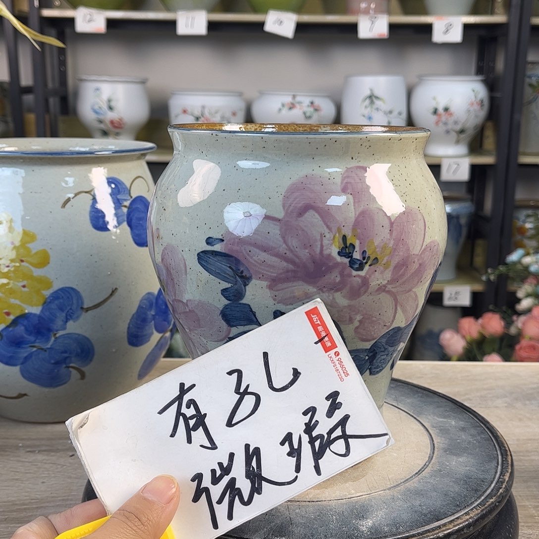 罐1xc景德镇陶瓷花瓶