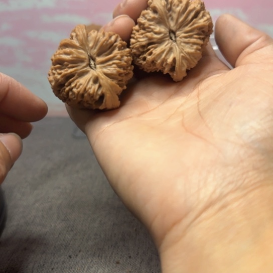 文玩核桃吊坠叶**声核桃