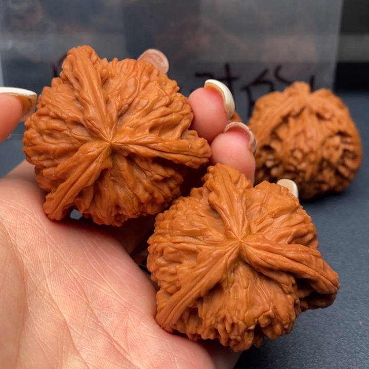 ****吊坠文玩核桃白狮子