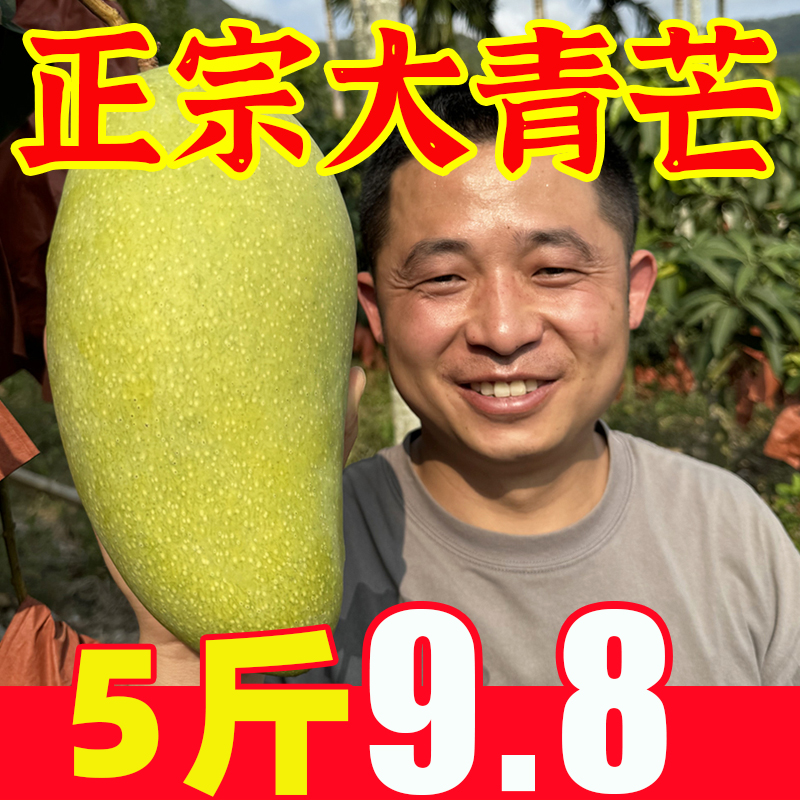 正宗大青芒当季新鲜热带孕妇水果云南广西金煌芒青皮甜心芒包邮