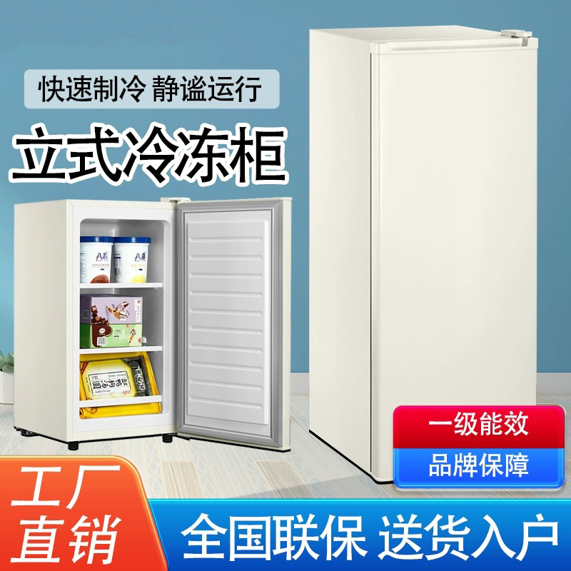 【立式冷柜】金立复古冰柜全冷冻柜侧开门抽屉式储奶母乳速冻小冰箱