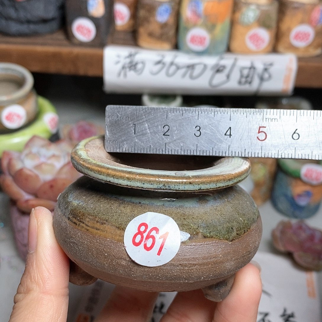 红陶拍5送一个小