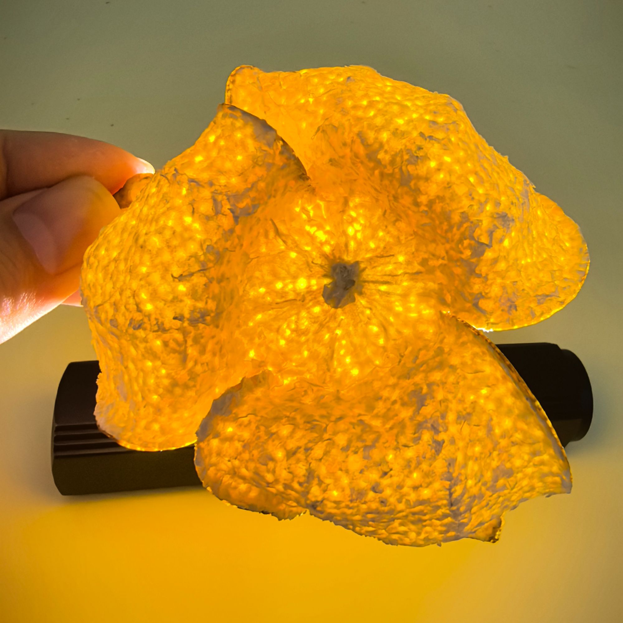 2025年老桩大红皮 天马陈皮 正宗 新会陈皮 茶枝柑 圈枝老树 